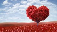 11/02/2018 : Saint Valentin 11/02/2018 : Saint Valentin