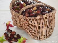 27/10/2019 : Les Châtaignes 27/10/2019 : Les Châtaignes